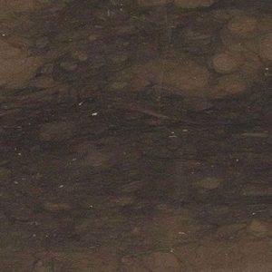 CEV_kaesar-brown