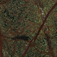 CE_RAIN_FOREST_GREEN
