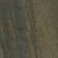 CE_SEQUOIA_BROWN
