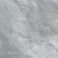 CE_SUPER_WHITE